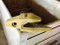 207-939-3120 Emmeradapter hulpstukken Graafmachine Onderdelen Tand Grondgereedschap