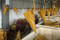 Vervangende onderdelen Emmer Tand 61QA-31310tl voor graafmachine lader
